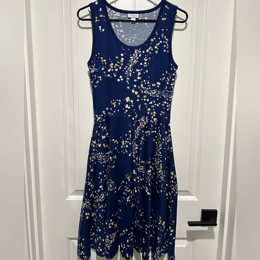 LuLaRoe Nicki dress with pockets